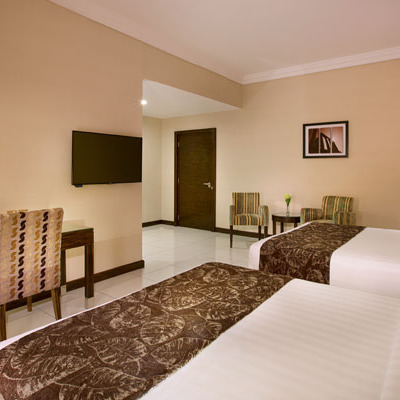 Deluxe Large Twin Room